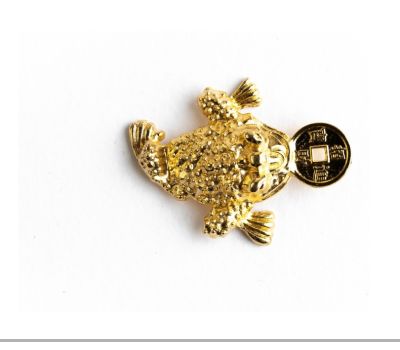 Кошельковый талисман «Жаба с Фэн-шуй монетой» — символ удачи и финансового благополучия, изображение 3