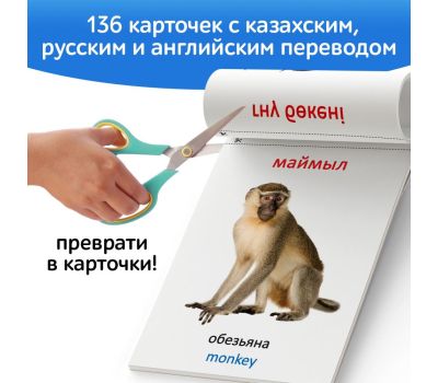 Подарочный развивающий набор на казахском языке, 12 шт. + светящийся тактильный мячик, изображение 6