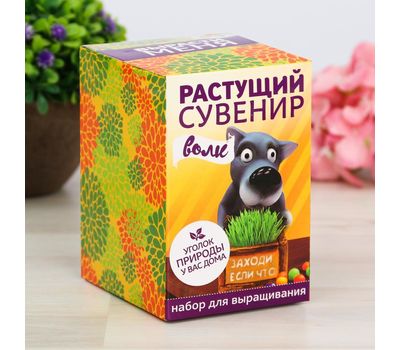 Растущий подарок "Трава в горшочке Волк": оживите свой интерьер символом природы, изображение 4 Растущий подарок "Трава в горшочке Волк": оживите свой интерьер символом природы, изображение 4