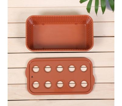 Лоток для выращивания зеленого лука — свежий лук круглый год прямо на вашей кухне!, изображение 3 Лоток для выращивания зеленого лука — свежий лук круглый год прямо на вашей кухне!, изображение 3