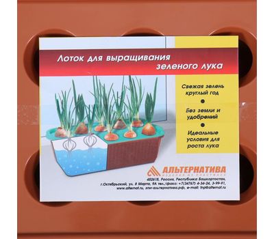 Лоток для выращивания зеленого лука — свежий лук круглый год прямо на вашей кухне!, изображение 4 Лоток для выращивания зеленого лука — свежий лук круглый год прямо на вашей кухне!, изображение 4
